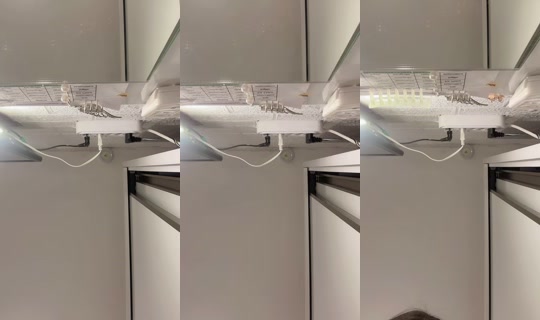 henry3467_1 TikTok Live — Jul 15, 2026, 12:58 AM
