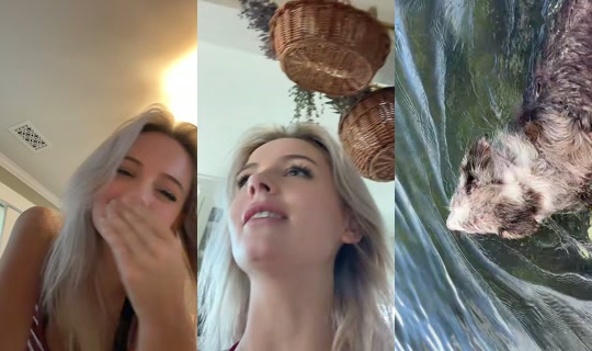 heyitss.lay TikTok Live — Aug 22, 2026, 7:59 PM