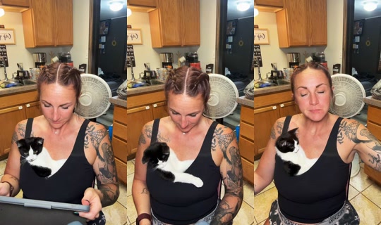 highnichole TikTok Live — Aug 21, 2026, 2:33 AM