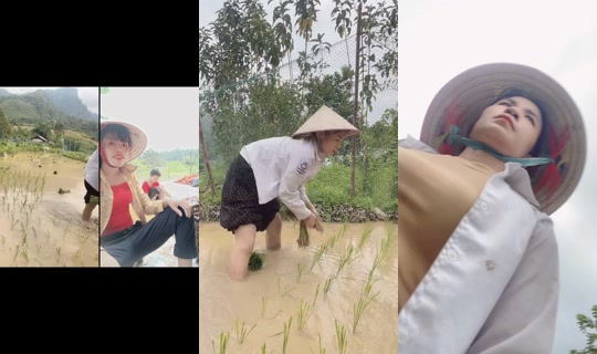 hn0088266mh TikTok Live — Jul 15, 2026, 8:32 AM