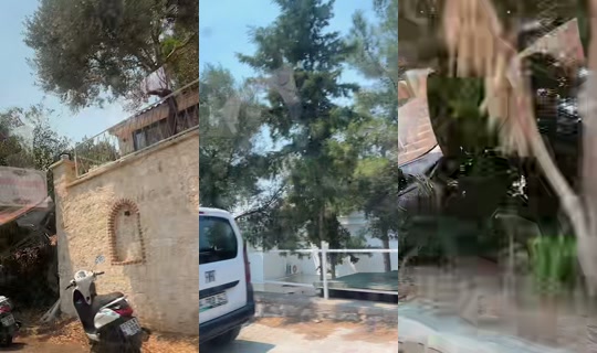 holagirltravel TikTok Live — Jul 29, 2026, 10:26 AM