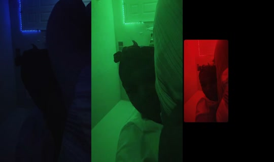 hollywood.dgaf TikTok Live — Aug 2, 2026, 10:13 AM