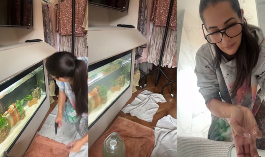 house_of_spray1 TikTok Live — Aug 19, 2026, 8:31 AM