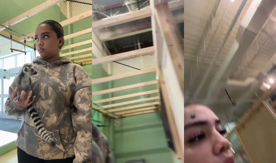 iiamnatttt TikTok Live — Sep 6, 2026, 4:28 PM