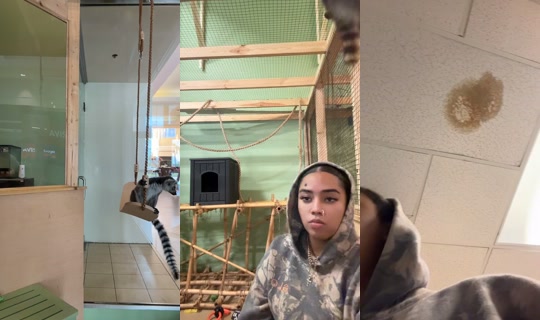 iiamnatttt TikTok Live — Sep 6, 2026, 5:18 PM