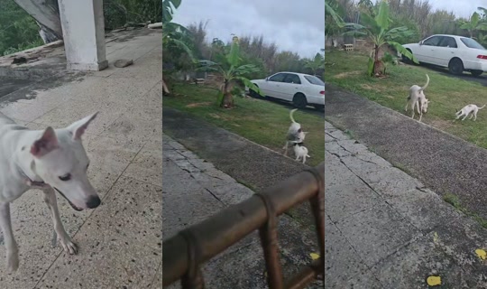 india100x35pr TikTok Live — Aug 23, 2026, 10:42 PM