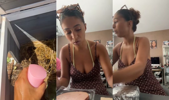 ines.sd3491 TikTok Live — Aug 2, 2026, 12:06 PM