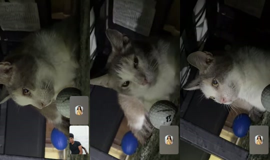 iridewhileyoucry TikTok Live — Jul 15, 2026, 3:30 PM