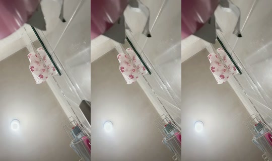 isabelfernanda384 TikTok Live — Aug 14, 2026, 2:14 AM