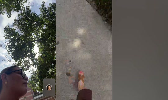 jadedubois2retour TikTok Live — Jul 14, 2026, 10:25 AM