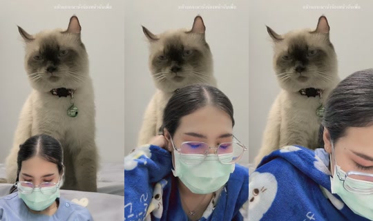 janephat_12feb TikTok Live — Jul 14, 2026, 7:44 AM