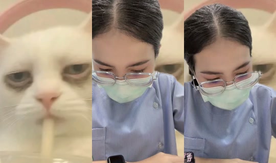 janephat_12feb TikTok Live — Jul 15, 2026, 6:23 AM
