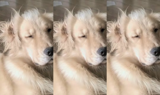 janephat_12feb TikTok Live — Jul 15, 2026, 10:43 AM