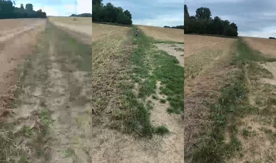 jen_jeho_41 TikTok Live — Aug 21, 2026, 2:01 PM