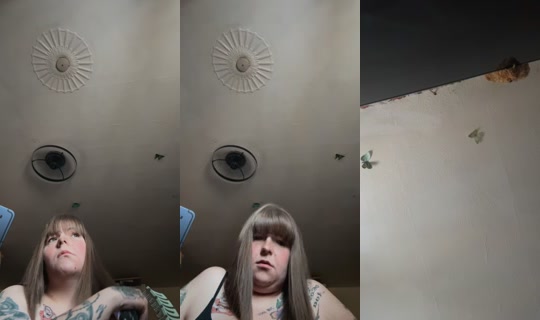 jessava28 TikTok Live — Aug 9, 2026, 6:23 AM