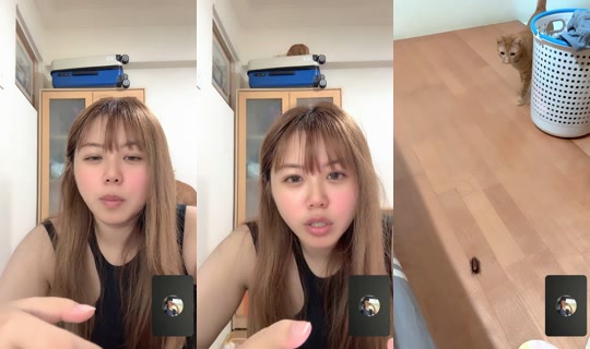 jia_oo412 TikTok Live — Sep 16, 2026, 3:51 PM