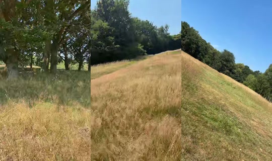 jolenemartine TikTok Live — Jul 11, 2026, 12:05 PM