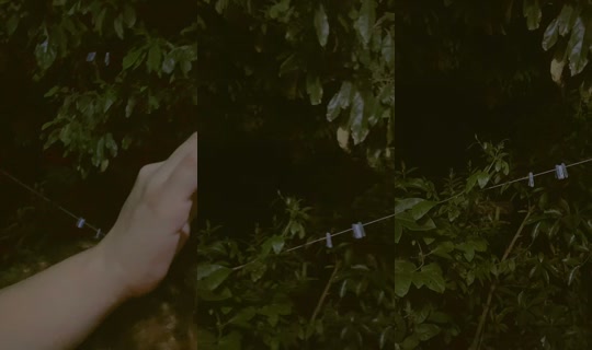 katherine.colindres TikTok Live — Aug 19, 2026, 4:52 AM