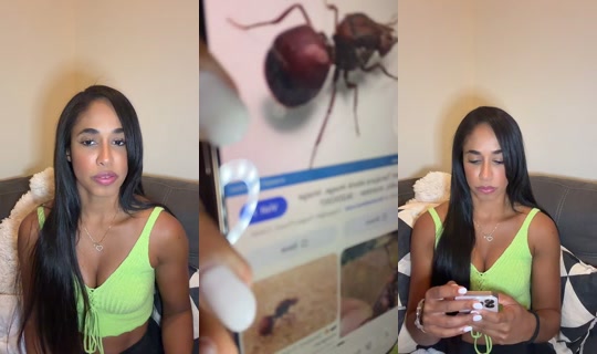 katherinequintanilha TikTok Live — Sep 6, 2026, 5:59 AM