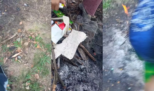 kill.me1052 TikTok Live — Sep 6, 2026, 3:37 PM