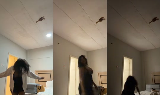 koket3430 TikTok Live — Aug 19, 2026, 9:25 PM