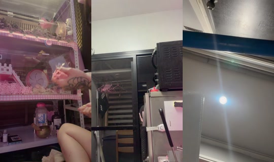 kurominty TikTok Live — Jul 13, 2026, 1:26 PM