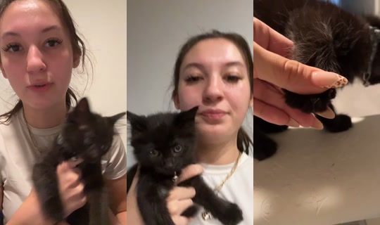 kyrarmiranda TikTok Live — Jul 10, 2026, 2:59 AM