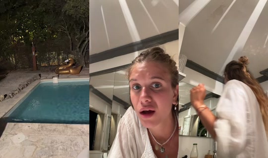 lachamomilepecchiari TikTok Live — Aug 13, 2026, 8:19 PM