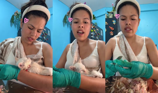 lajefamara TikTok Live — Jul 10, 2026, 7:51 PM