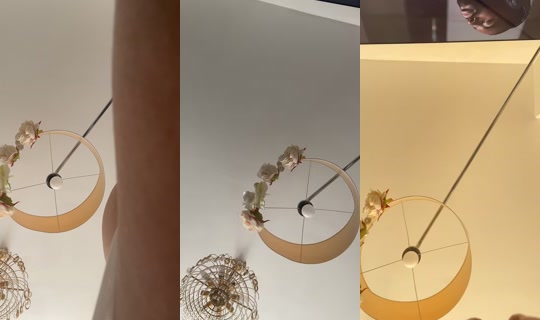 lauren2.laura TikTok Live — Aug 2, 2026, 9:53 AM