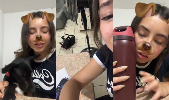 liwoong TikTok Live — Sep 15, 2026, 4:47 AM
