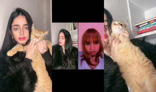 lolapaola221 TikTok Live — Jul 14, 2026, 4:01 AM