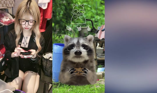 lunaria681 TikTok Live — Aug 1, 2026, 11:17 AM