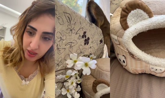 m0bhma TikTok Live — Jul 13, 2026, 4:28 AM