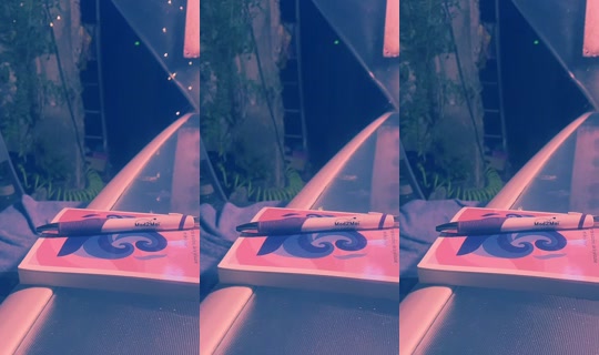 mad2moi.com TikTok Live — Aug 9, 2026, 8:38 PM