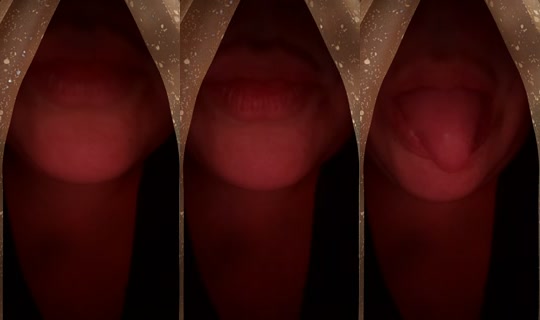 mamawilkee TikTok Live — Jul 14, 2026, 4:43 AM