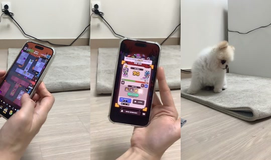 mango_noona2 TikTok Live — Jul 31, 2026, 4:41 AM