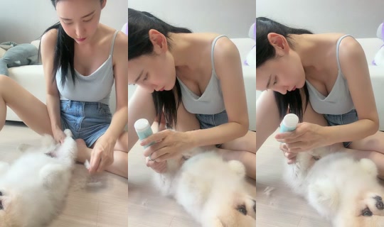 mango_noona2 TikTok Live — Sep 17, 2026, 7:31 AM