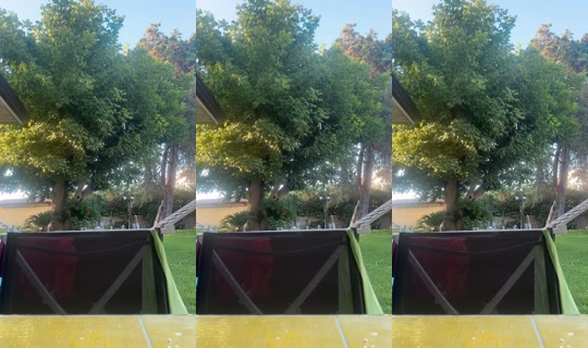 margotferrari2002 TikTok Live — Jul 10, 2026, 5:24 AM