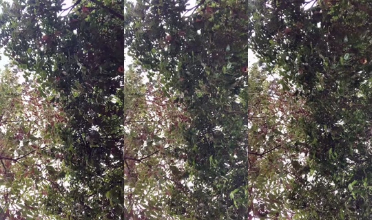 mariahio28i TikTok Live — Jul 14, 2026, 4:35 PM