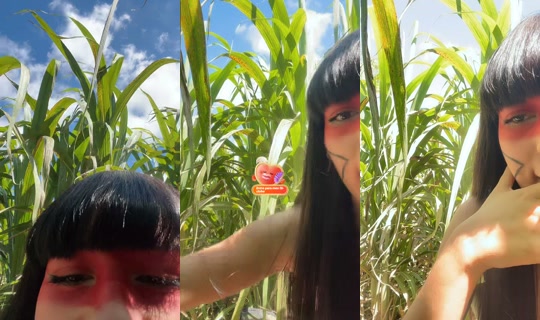 mavis_indiazinha TikTok Live — Aug 22, 2026, 12:45 PM