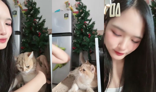 meenaxmn7 TikTok Live — Jul 14, 2026, 8:07 AM