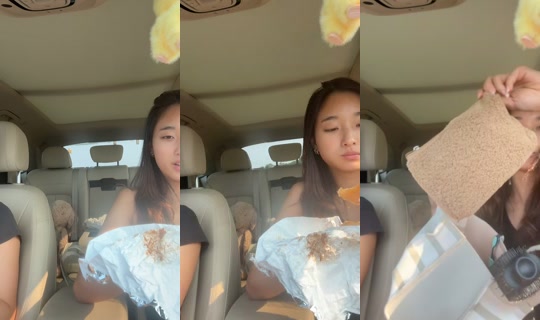 meimeiz312 TikTok Live — Jul 14, 2026, 9:26 PM