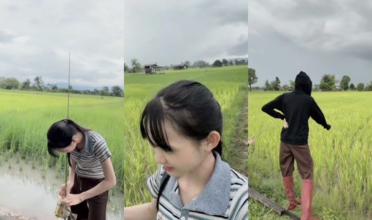 mejiii23 TikTok Live — Aug 11, 2026, 8:04 AM