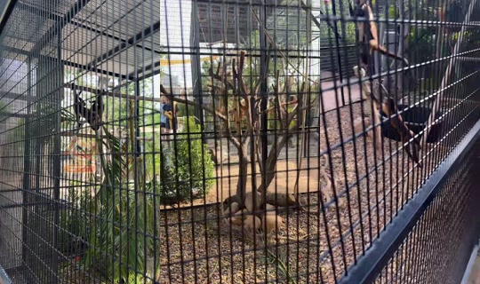 meli_jane_ TikTok Live — Jul 25, 2026, 9:40 AM