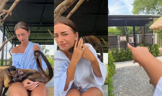 meli_jane_ TikTok Live — Aug 2, 2026, 6:59 AM