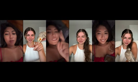 mesty.wave TikTok Live — Jul 15, 2026, 2:48 AM