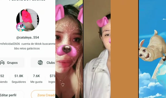 mifelicidad2606 TikTok Live — Jul 13, 2026, 12:24 PM
