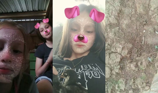 milenajimenez1 TikTok Live — Jul 14, 2026, 7:13 PM