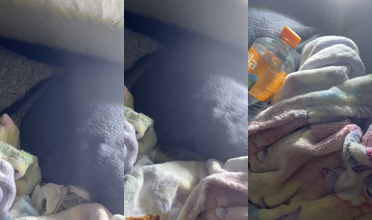 mimi084112 TikTok Live — Aug 4, 2026, 8:49 PM